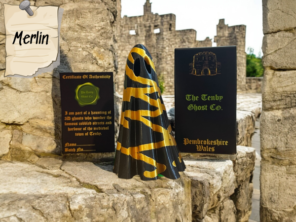 Merlin - Image 2